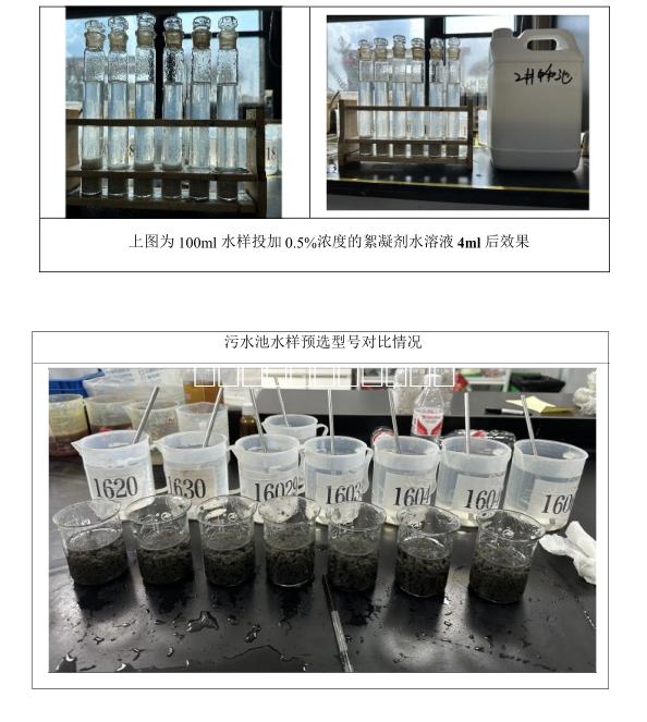 SV-1905聚丙烯酰胺（PAM）